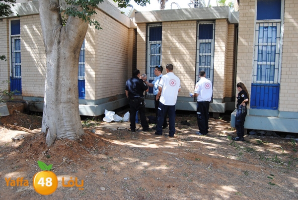 jotha dead yaffa 701 (17).JPG